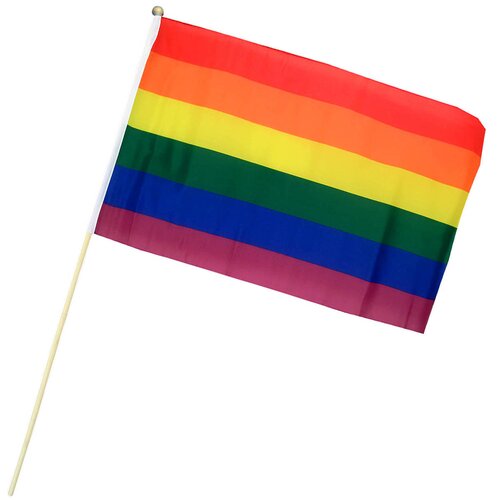 Regenbogen Handflagge 30x45 cm mit Holzstiel
